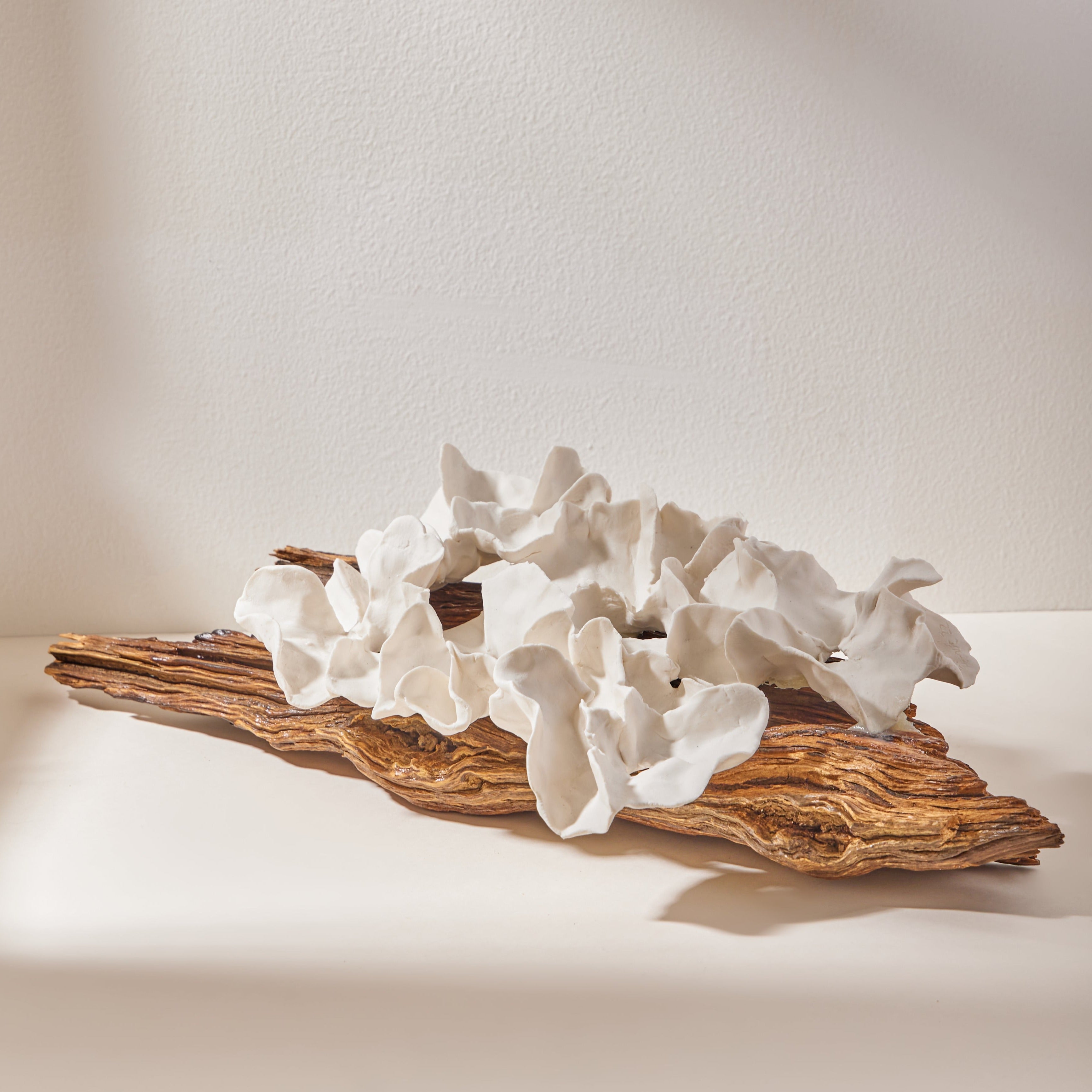 FLORA Ceramic and Driftwood Artwork